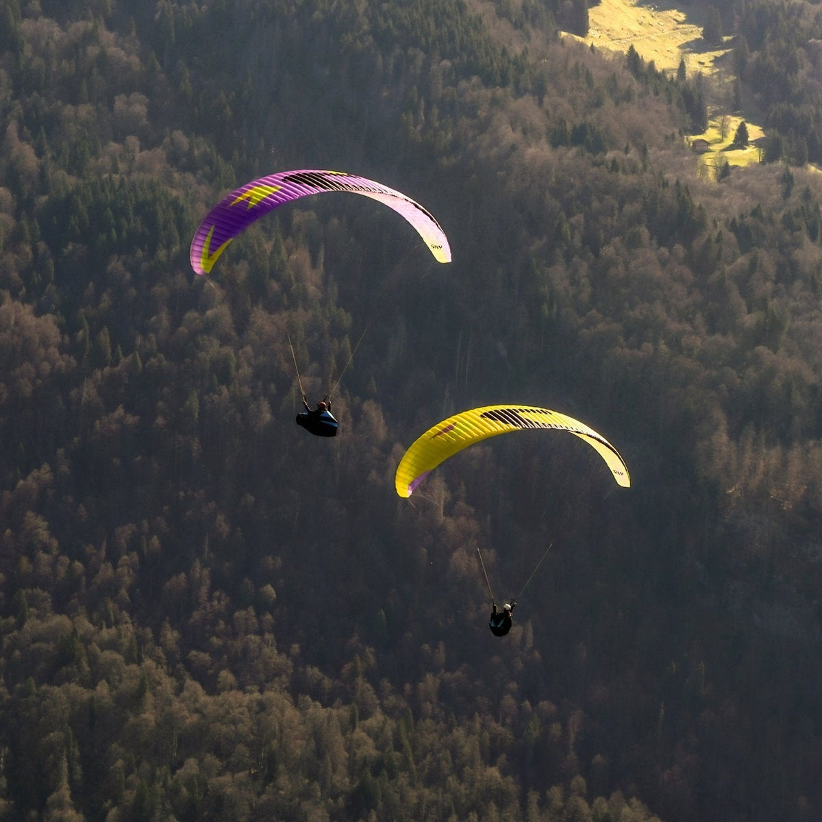Parapente Apollo 3 light :: SKY