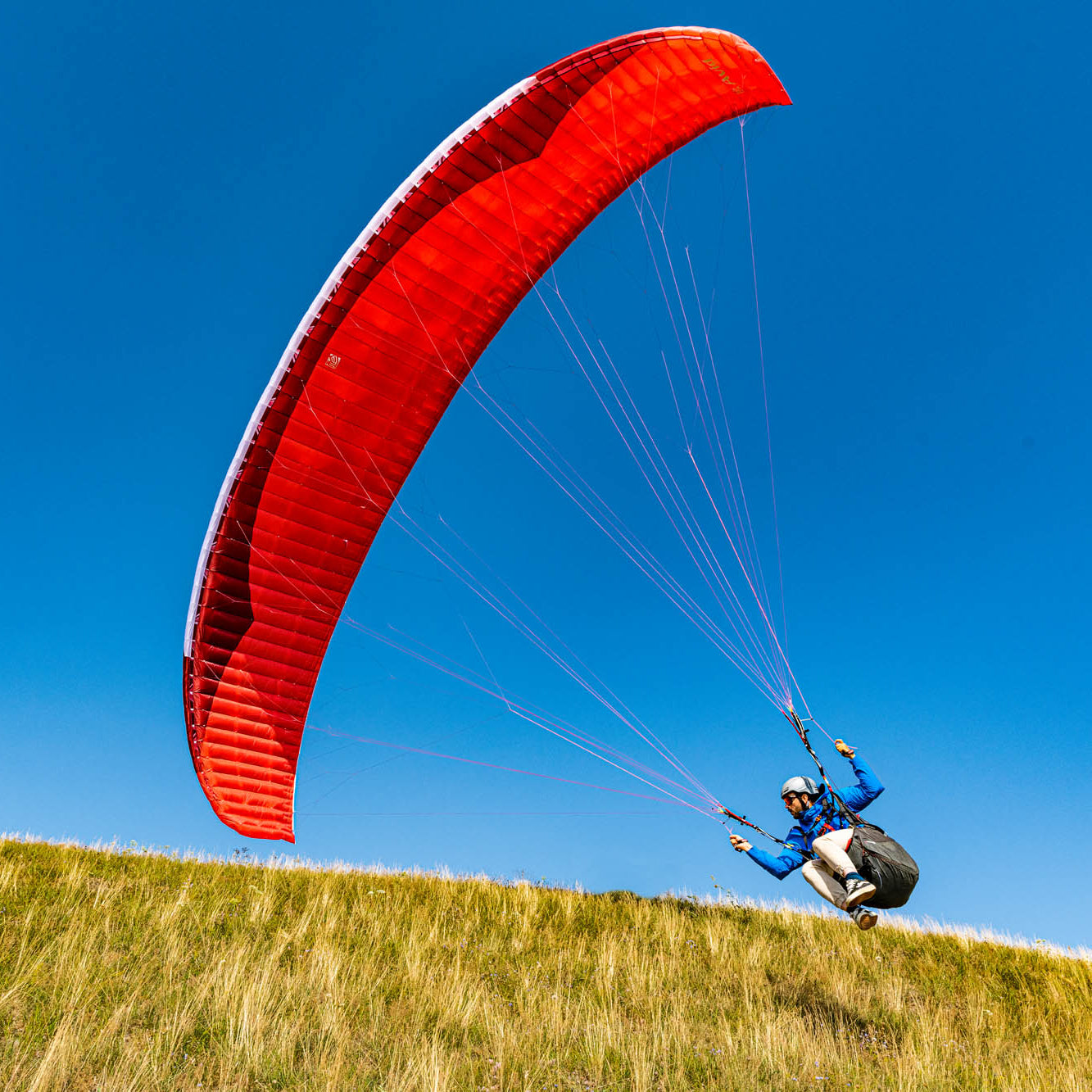 Parapente AVID :: GIN