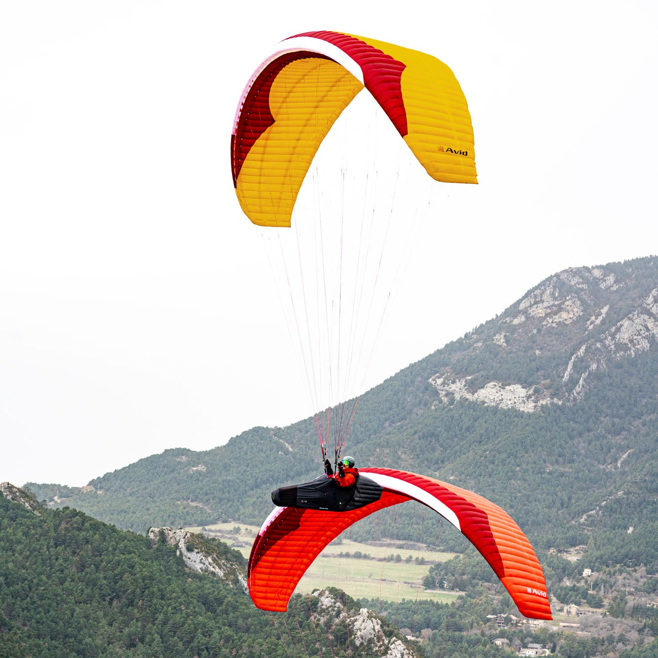 Parapente AVID :: GIN