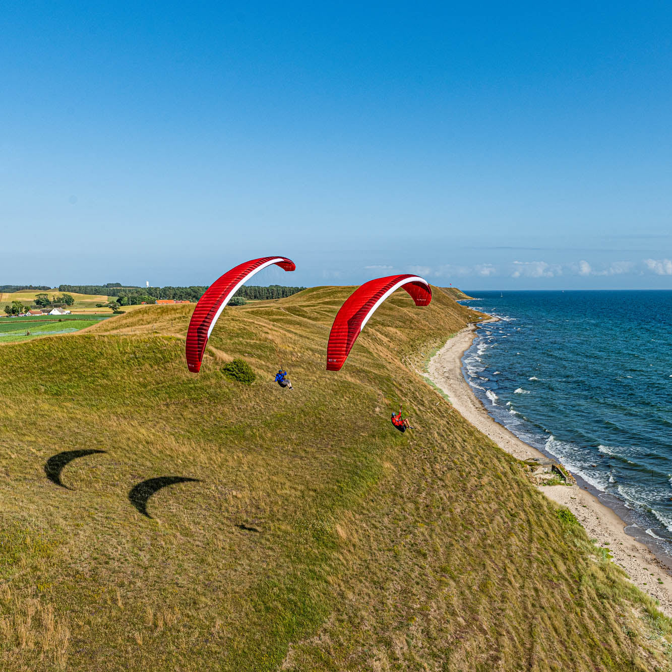 Parapente AVID :: GIN
