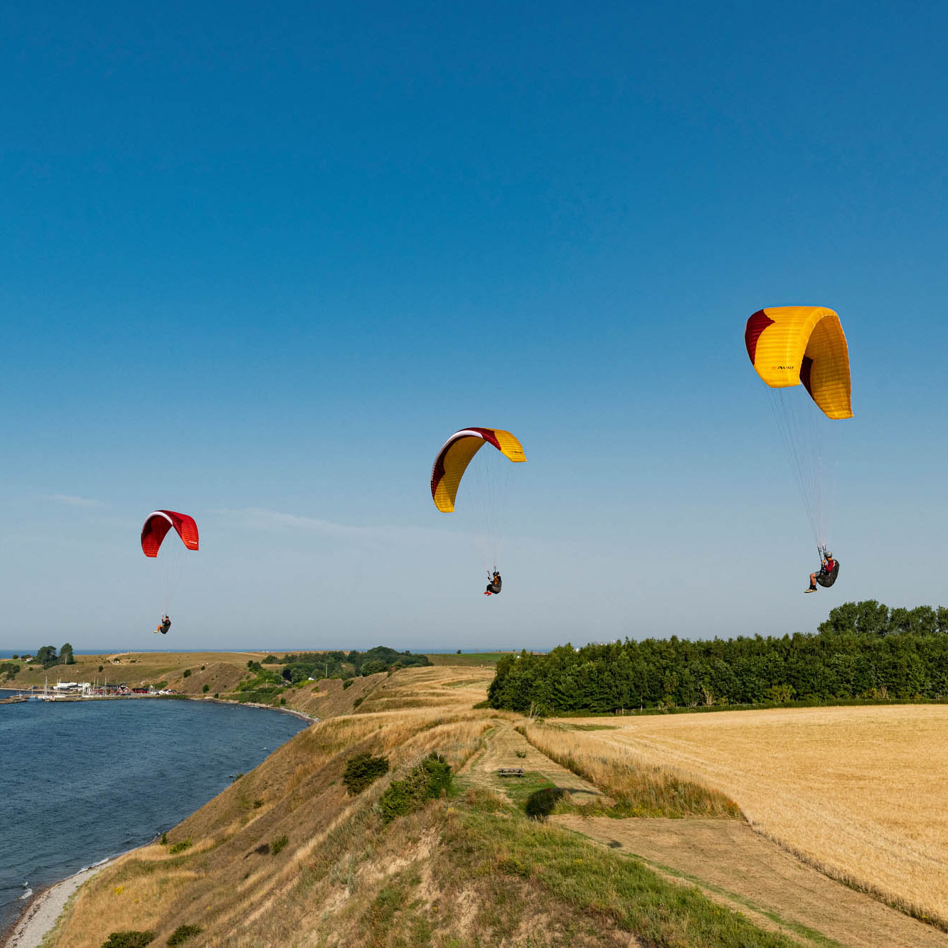 Parapente AVID :: GIN