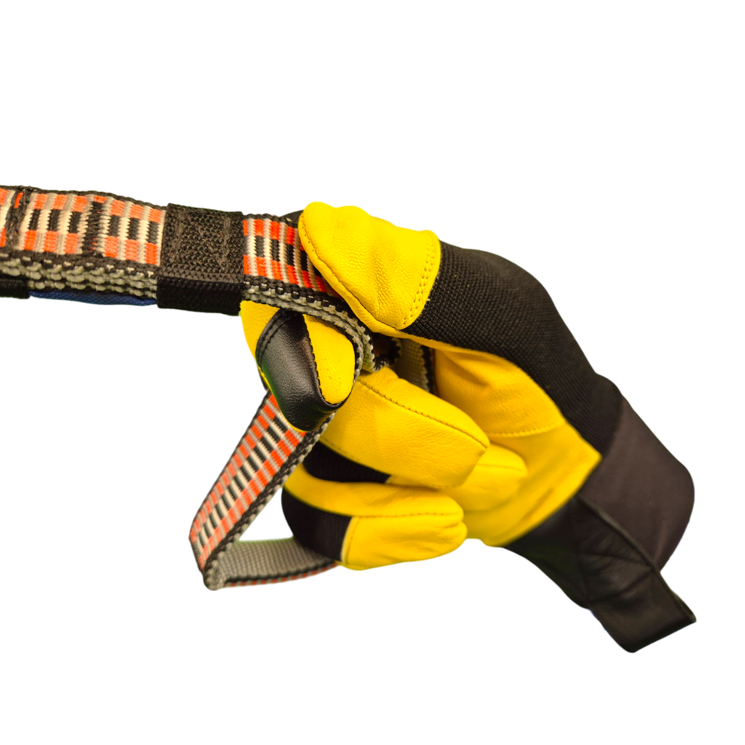 Gants Citrin TS :: BASISRAUSCH