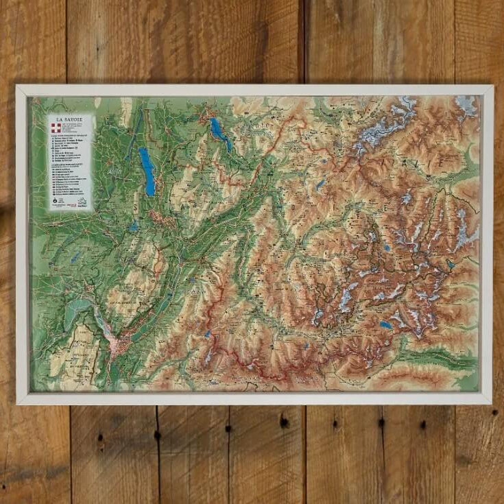 Carte en relief SAVOIE :: 3D MAP