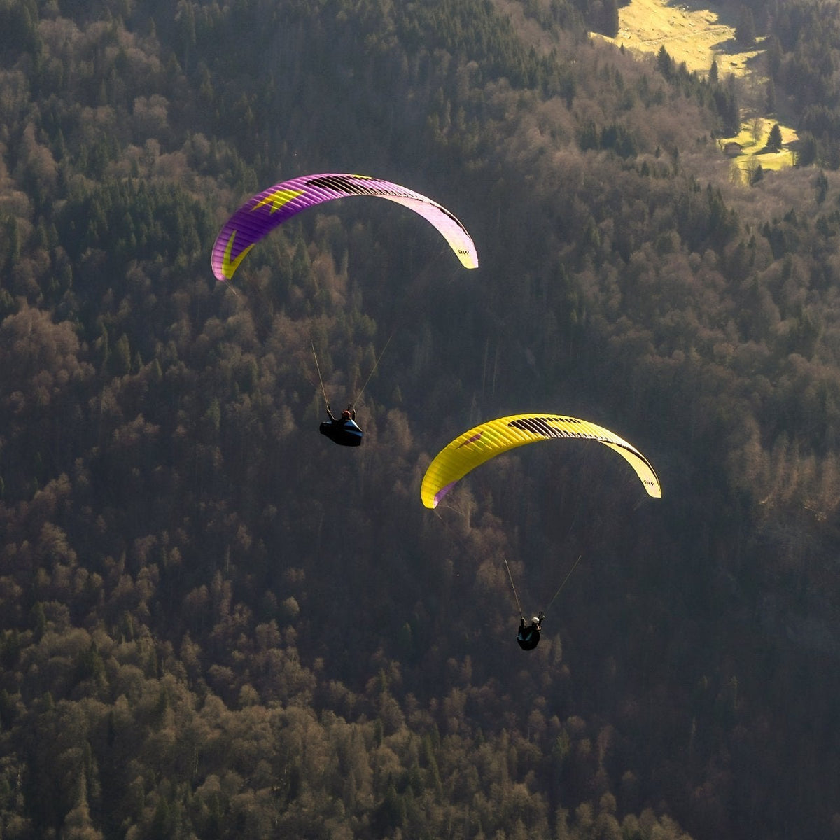 Parapente Apollo 3 light :: SKY PARAGLIDERS